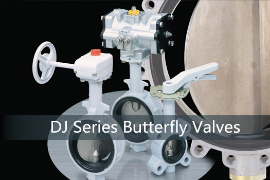 <b>DJ Series Butterfly Valves</b>